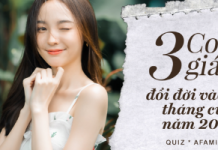 2 tháng cuối năm 2020, 3 con giáp này gặp nhiều may mắn, tiền bạc sự nghiệp thăng hoa như diều gặp gió, có người tìm được cơ hội đổi đời