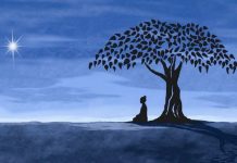 Tìm về cái gốc của trading (P2)