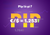 Pip là gì trong Forex? Cách tính Pip và tầm quan trọng của Pip