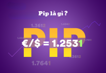 Pip là gì trong Forex? Cách tính Pip và tầm quan trọng của Pip