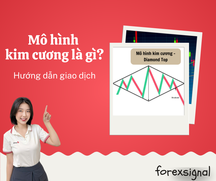 Web kiến thức (1)