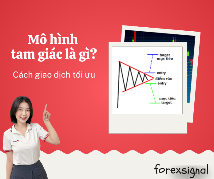 Web kiến thức (2)