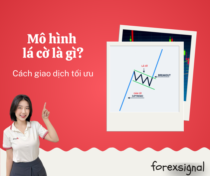 Web kiến thức (4)