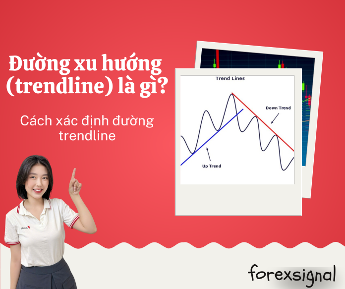 Web kiến thức (5)