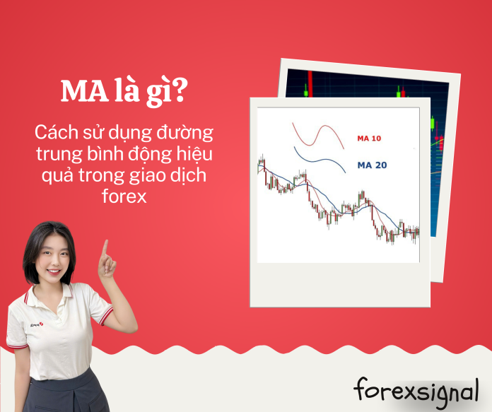 Web kiến thức (7)